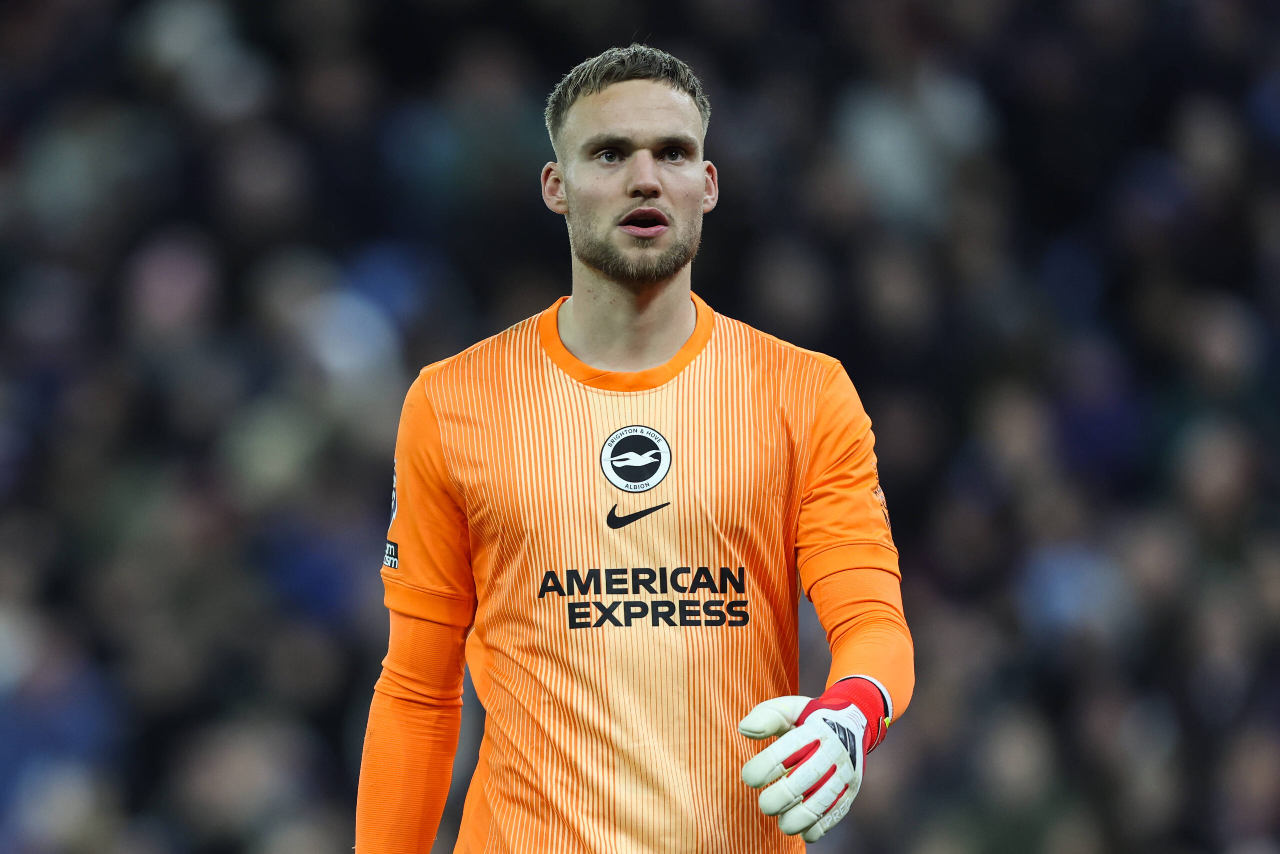 Liverpool visiert Brightons Bart Verbruggen als Alisson-Nachfolger an: 50-Millionen-Pfund-Wechsel im Sommer zeichnet sich ab