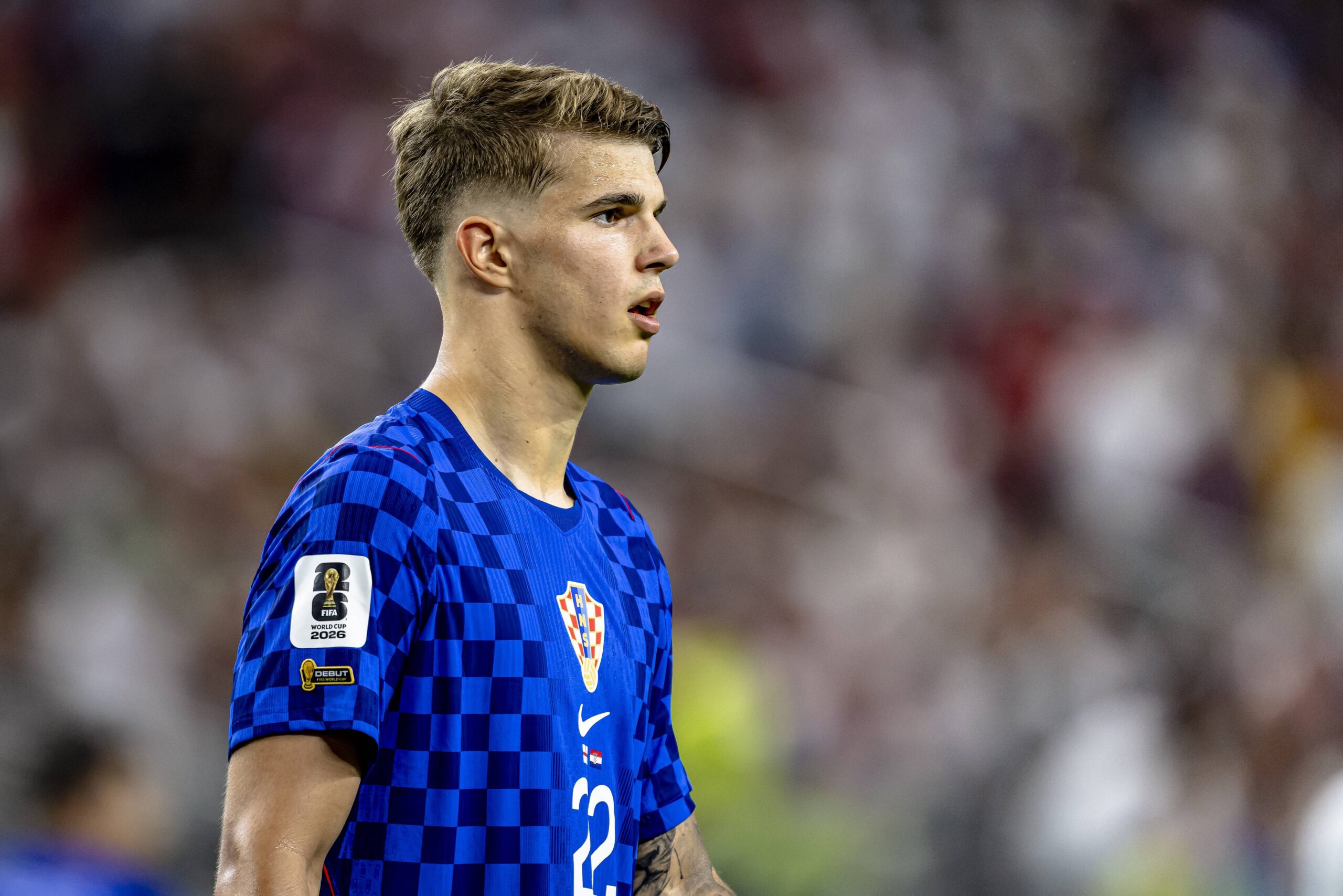 Brighton Push Spurs Again for £45m Luka Vušković Deal