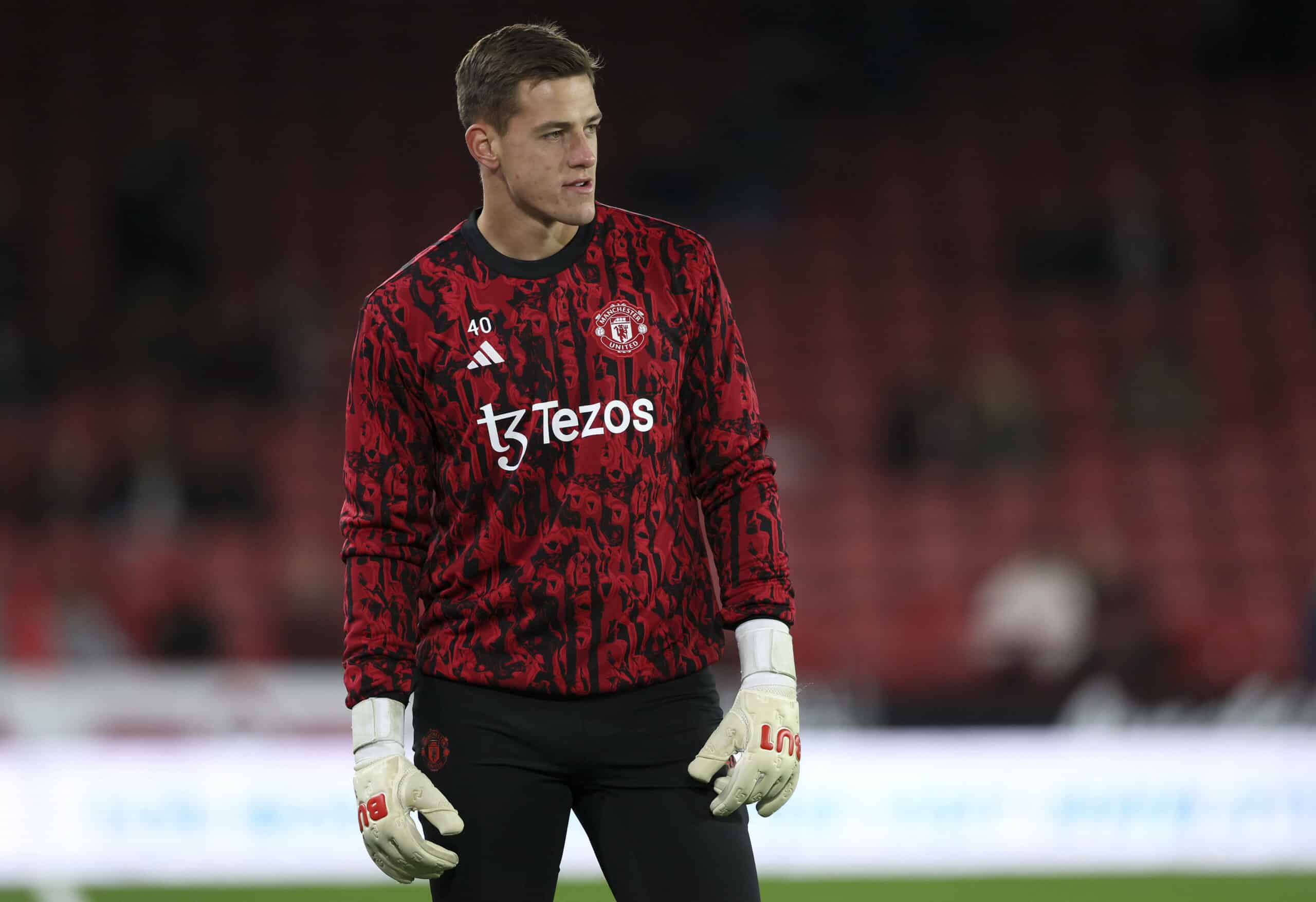 Hull City jagt ManUnited-Keeper Radek Vitek