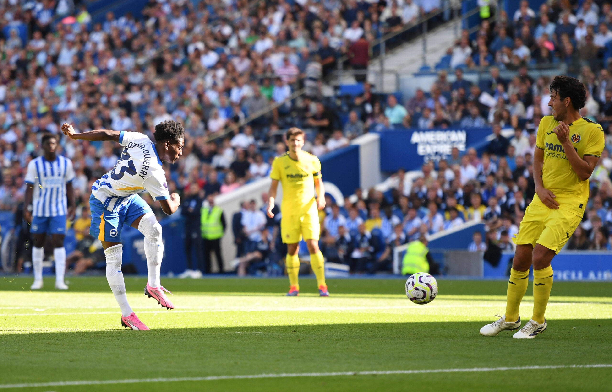 Brighton belohnt Youngster Cozier-Duberry mit neuem Vertrag