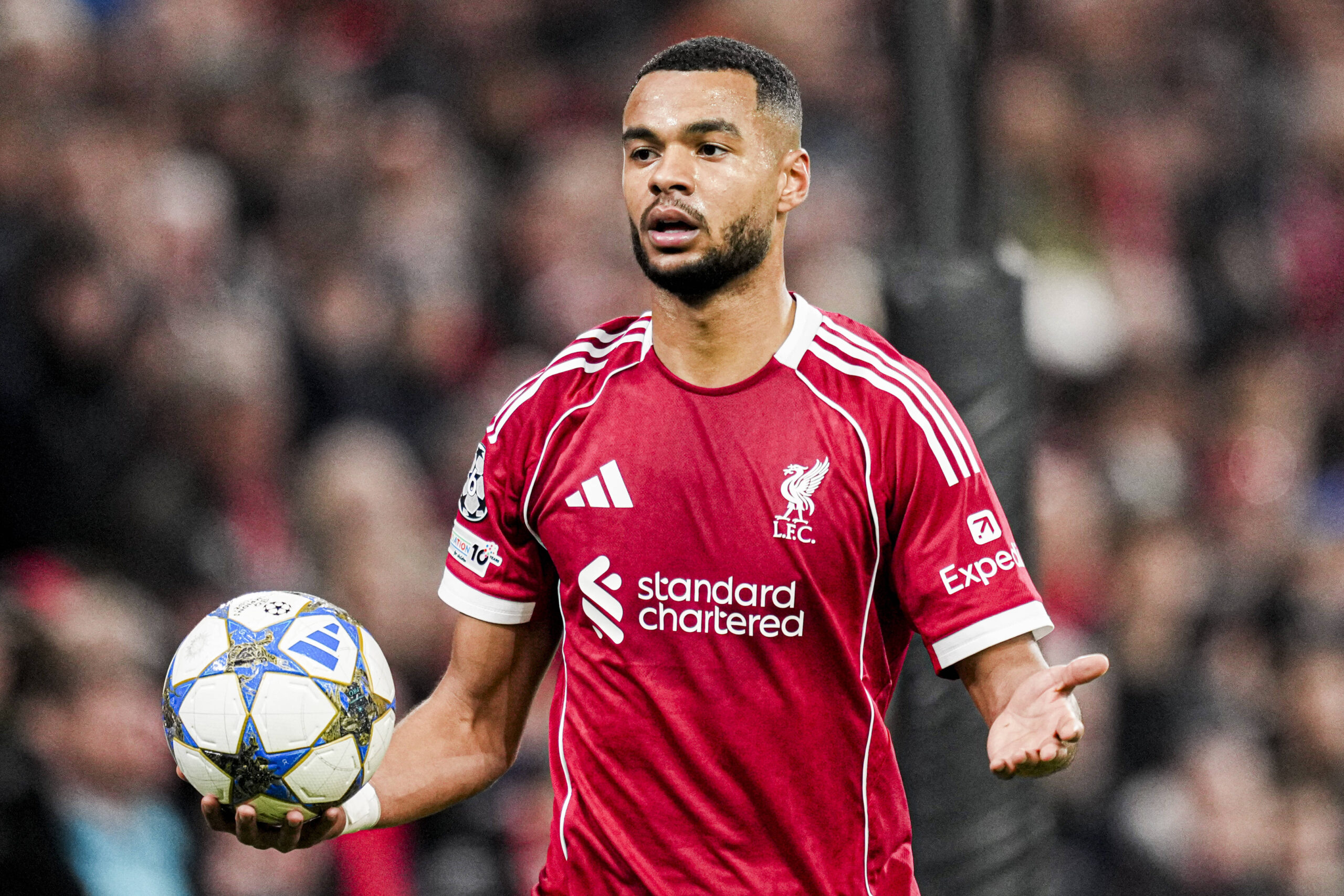 Tottenham, Cody Gakpo İçin Yarışta Öne Geçti: Liverpool ile 72 Milyon Sterlinlik Görüşmeler