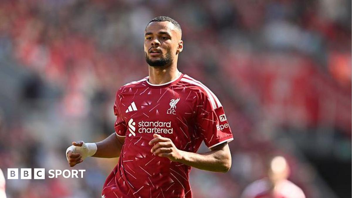 Cody Gakpo zu Tottenham? Daten hinter dem Transfer-Interesse