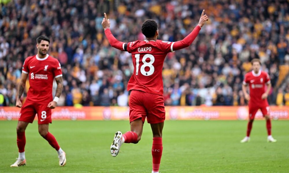 Tottenham verhandelt mit Liverpool über Gakpo: 51-Millionen-Angebot