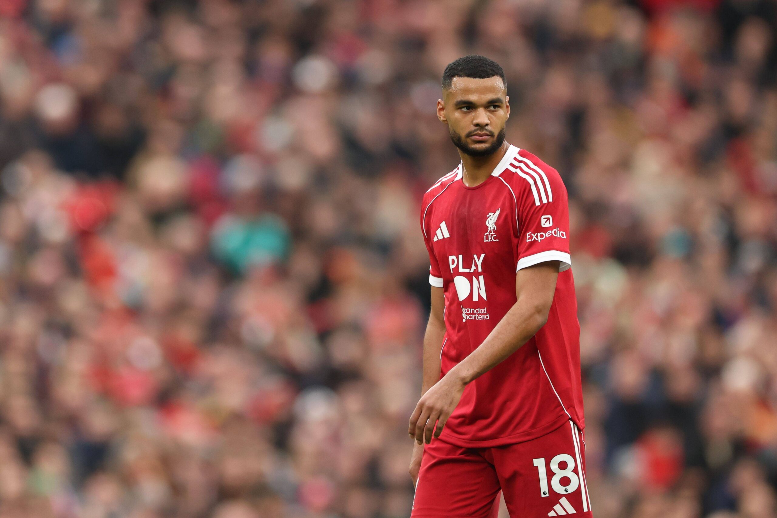 Cody Gakpo to Tottenham: Spurs Push Forward as Liverpool Weigh Summer Sale