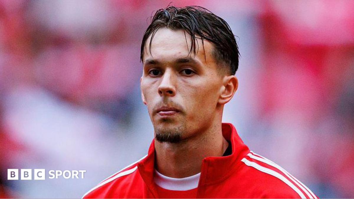 Newcastle in Advanced Talks for Benfica Defender Amar Dedic