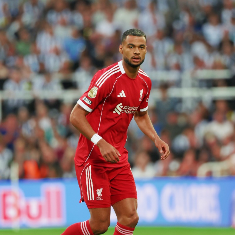 Gakpo-Boost für Tottenham dank Liverpool-Barcola-Deal