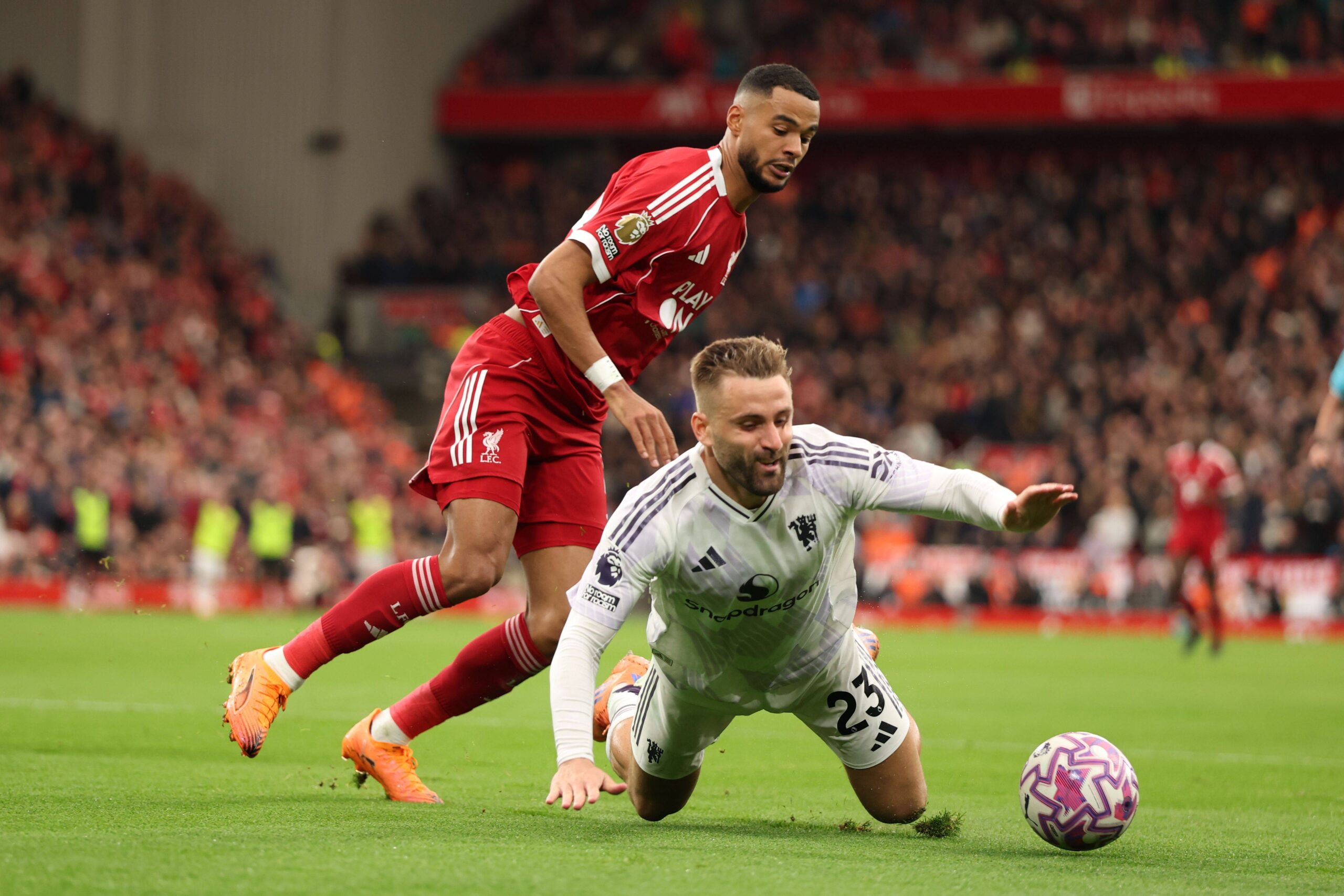 Manchester City in £85m Talks for Cody Gakpo: Liverpool Winger Targeted