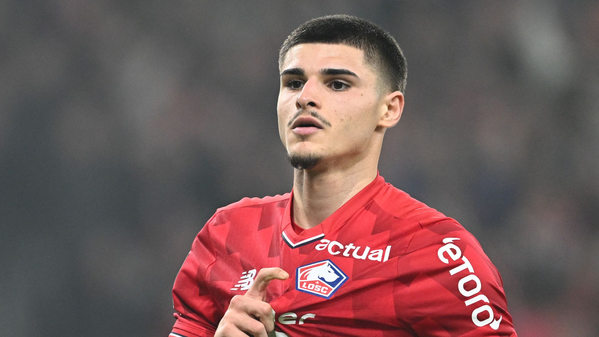 Newcastle kurz vor Verpflichtung von Fernandez-Pardo