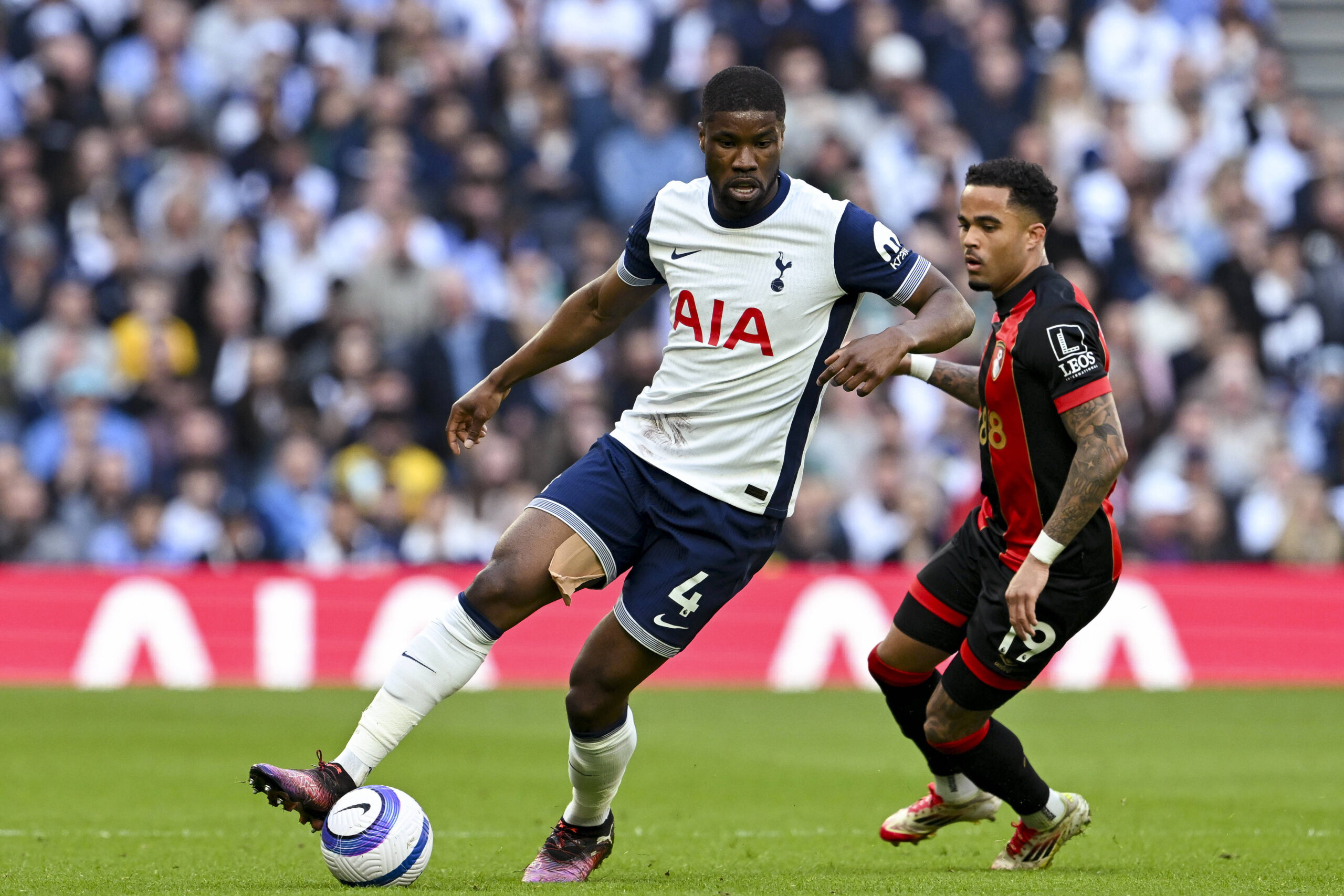 Sunderland: Danso-Leihe von Tottenham fix