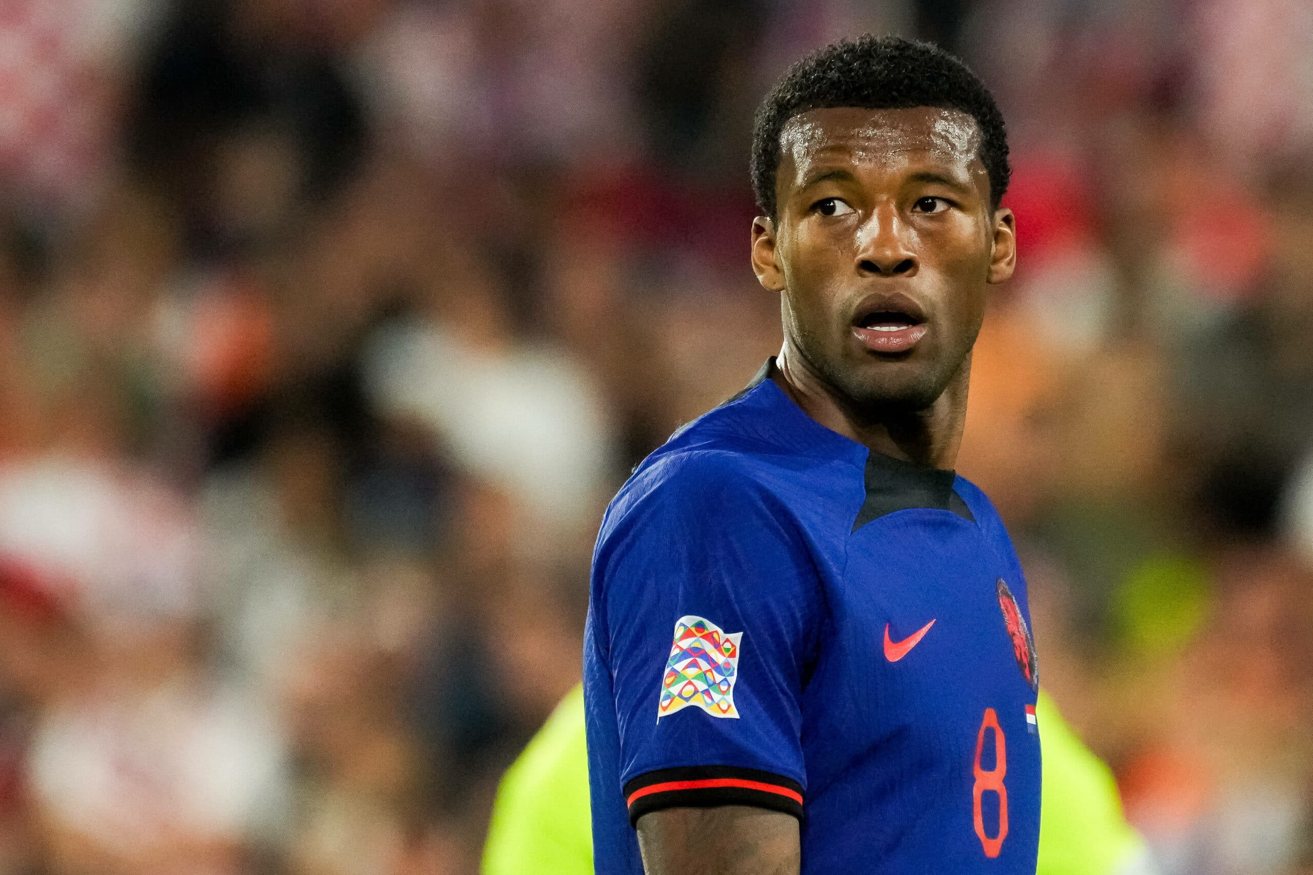Chelsea: Wijnaldum als Gratis-Lösung nach Camara-Aus